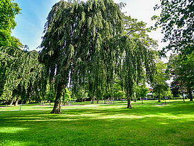 Park in Hemer Westig